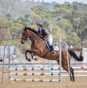 Meet your Posher, Krystle